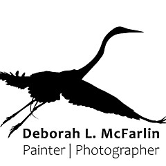 Deborah L McFarlin