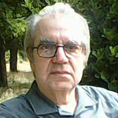 Mohammad Hayssam Kattaa