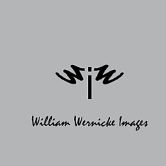 William Wernicke