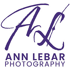Ann M Lebar