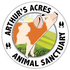 Arthur's Acres