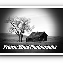 Prairie Wind Photography