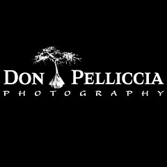 Don Pelliccia