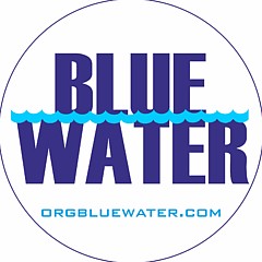 Organizacion Bluewater