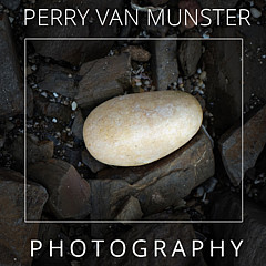Perry Van Munster