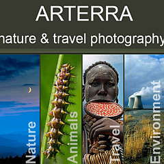 Arterra Picture Library