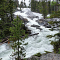Crazy Creek Falls In The Shoshone National Forest 2 - Wyoming