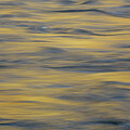 Golden reflective light on the surface of water.