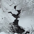 A Creek in Winter