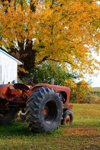Photo of a Tractor or Tractors Set in Fall season with fall leaves fall Harvest etc