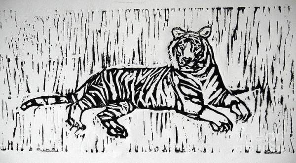 Wildlife in traditional Printmaking 