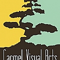 Carmel Visual Arts