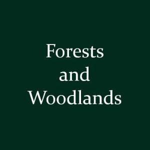 Forests And Woodlands