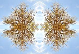 Kaleidoscopic Images